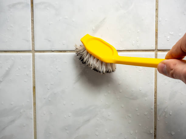 Best Fast Mold Removal  in Culver, IN