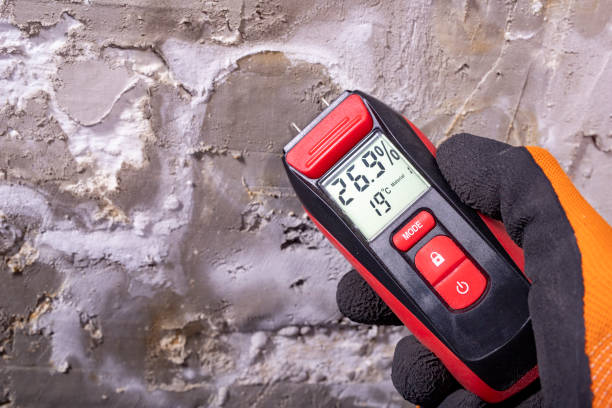 Best Local Mold Removal Service  in Culver, IN