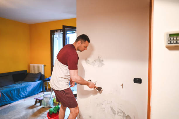Best Emergency Mold Removal  in Culver, IN